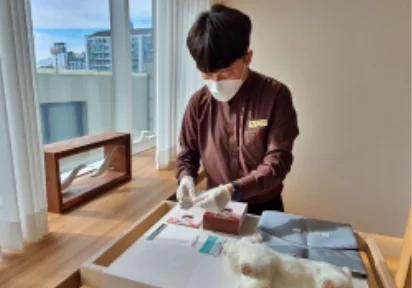 픽업 또는 내원